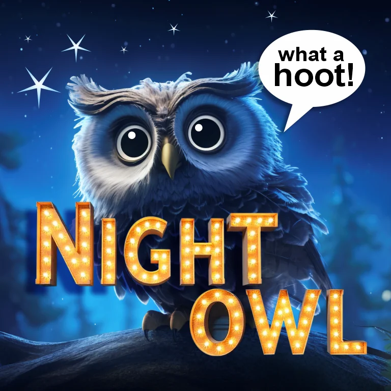 Night Owl deal tile